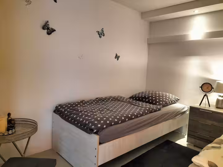T-1 - Gemütliches 2 Zimmer Apartment in Trebur Bild 17